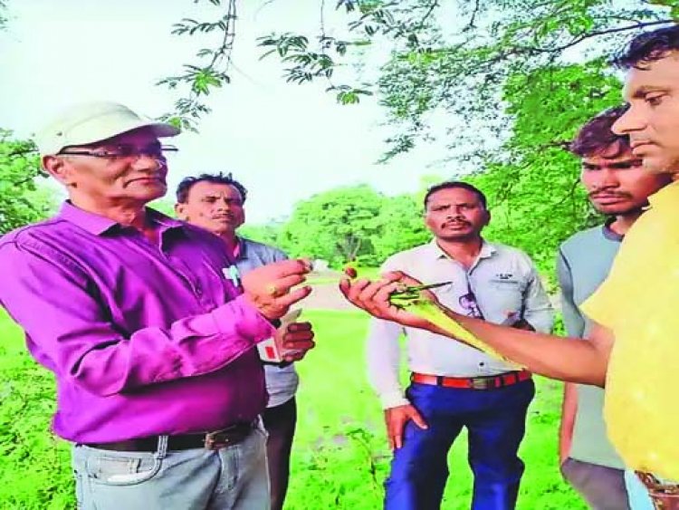 खेत में जहरीले पानी पीने से 52 मौतें, मचा हड़कंप
