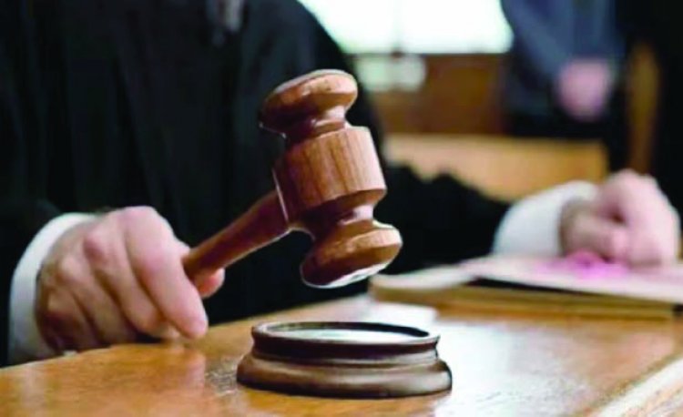 हाईकोर्ट ने कहा- गड्ढों से होने वाले हादसों के जिम्मेदार होंगे जिला कलेक्टर, माना जाएगा सांविधानिक अत्याचार