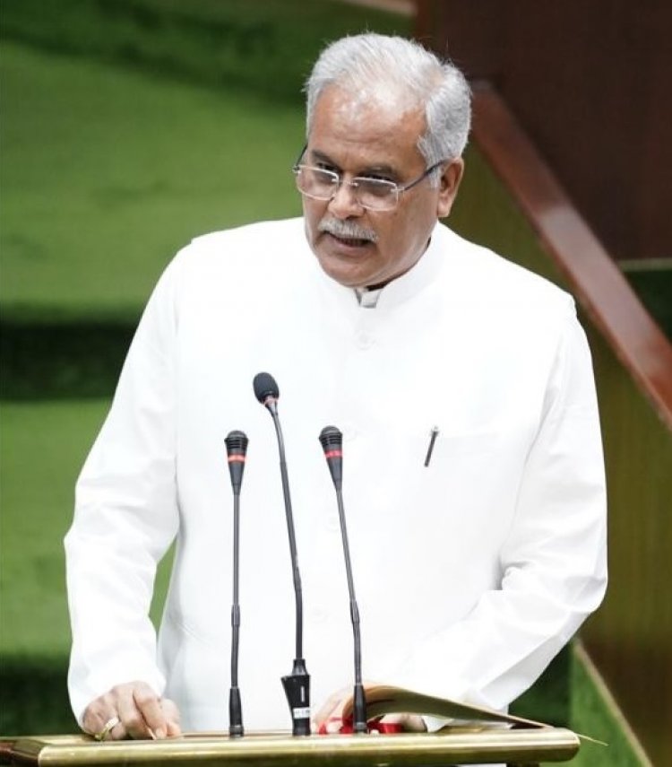 बजट में सीएम बघेल ने पशु चिकित्सा विभाग के लिए की ये घोषणाएं...