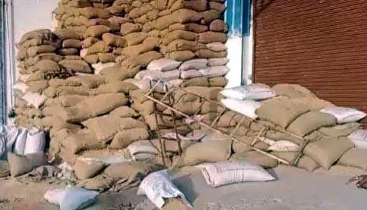 राईस मिल में घुसा दंतैल हाथी, मचाया उत्पात