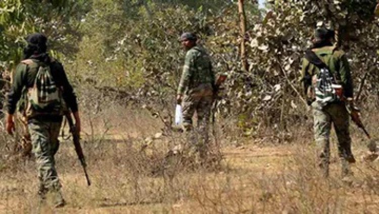 पुलिस-नक्सली में मुठभेड़, दो जवान घायल
