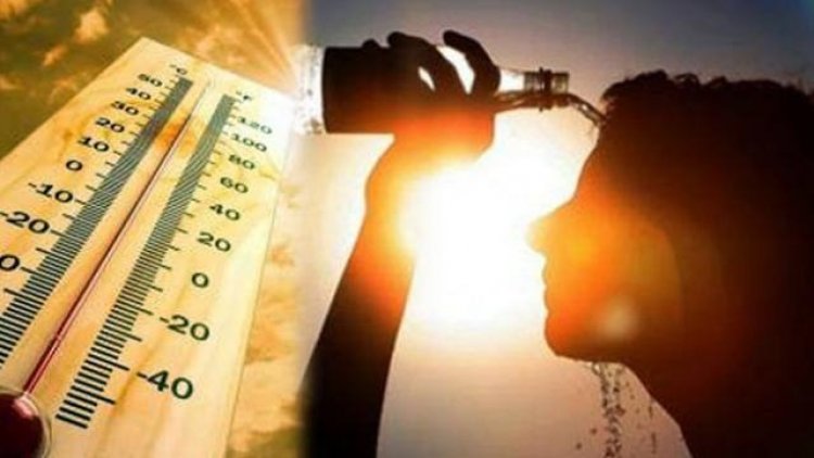 प्रचंड गर्मी ने मचाया कोहराम, 72 घंटे में 74 की मौत...
