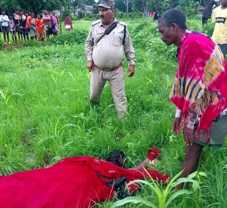 हाथी ने महिला को कुचला, मौत