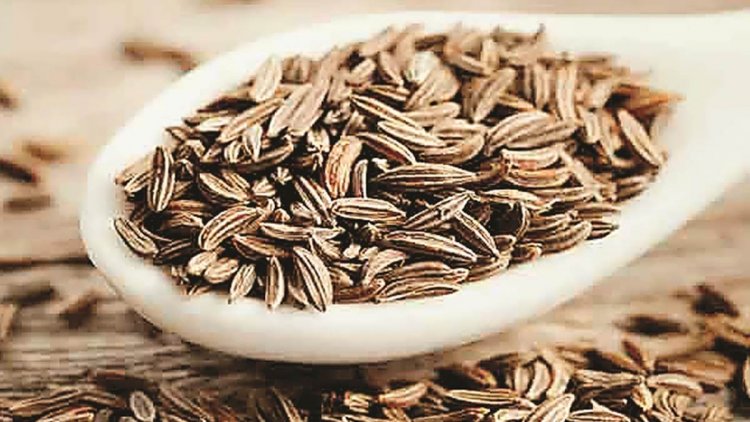 सब्जियों के बाद मसालों ने भी बिगाड़ा जायका, चार माह में ही दोगुनी हुई कीमत, जीरा ने तोड़े रिकार्ड