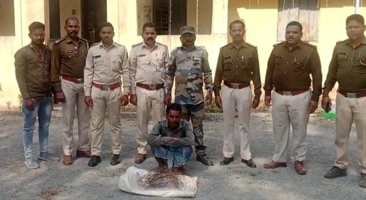 सांभर का फरार शिकारी गिरफ्तार, 11 आरोपियों की तलाश जारी