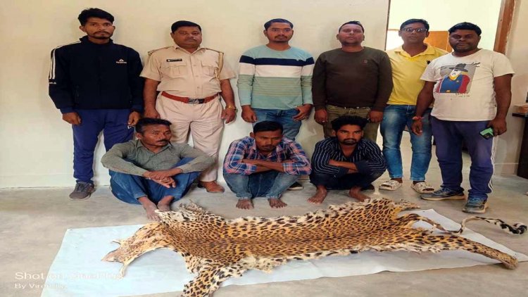 तेंदुए की खाल बेचने के फिराक में घूम रहे 3 आरोपी गिरफ़्तार