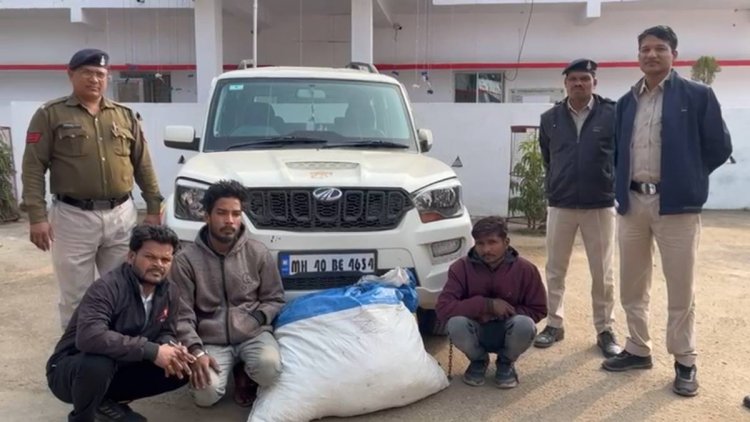 स्कॉर्पियो में गांजा तस्करी, पुलिस ने तस्करों को दबोचा