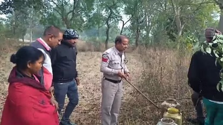 झाड़ियों में बना रखा था शराब का गोदाम, महिला गिरफ्तार...