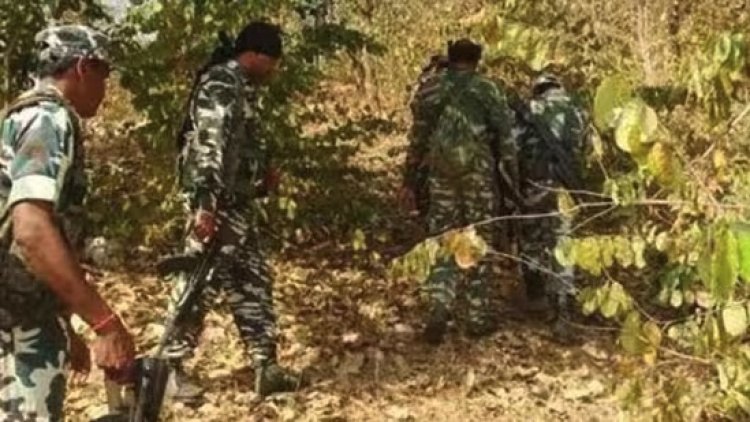 सुरक्षाबलों ने 3 नक्सलियों को मार गिराया...