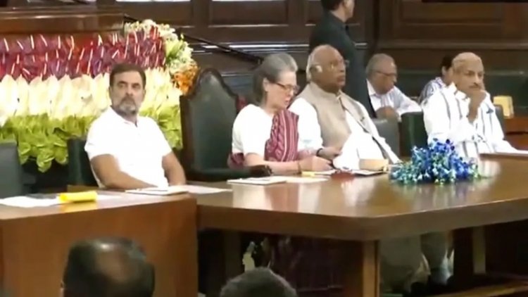संसदीय दल की चेयरपर्सन चुनी गईं सोनिया गांधी