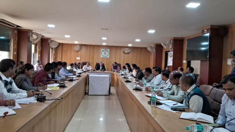 कलेक्टर ने की निकाय-पंचायत चुनाव की तैयारियों की समीक्षा