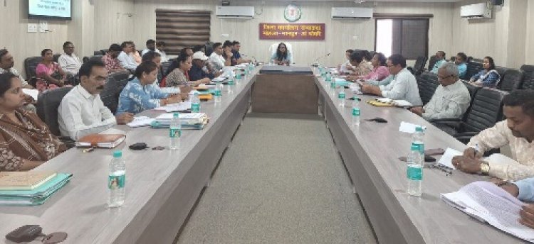 कोर्ट केसेस प्रकरणों का निराकरण सर्वोच्च प्राथमिकता से समय पर करें : कलेक्टर