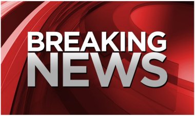 जिला परामर्शदात्री समिति एवं जिला स्तरीय पुनरीक्षण समिति की बैठक संपन्न