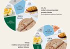 भारतीयों को प्रोटीन मिल रहा है, लेकिन गुणवत्ता कमजोर: सीईईडब्ल्यू
