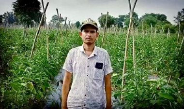 आधुनिक तकनीक से बदली खेती की दिशा