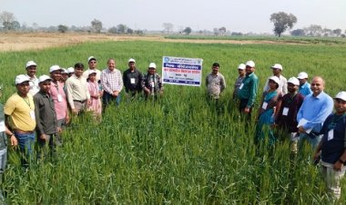 झारखंड के किसानों ने छत्तीसगढ़ में सीखीं उन्नत कृषि तकनीकें