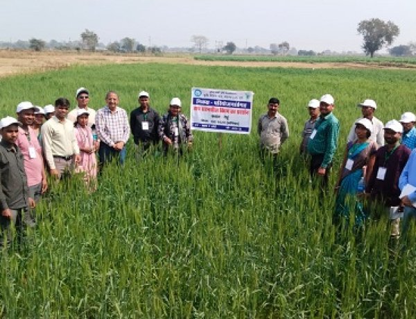 झारखंड के किसानों ने छत्तीसगढ़ में सीखीं उन्नत कृषि तकनीकें