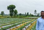 सूक्ष्म सिंचाई योजना से खेती बनी अधिक लाभकारी