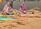 जब जंगलों की छांव से निकलकर स्वावलंबन की मिसाल बनीं नारायणपुर की महिलाएं